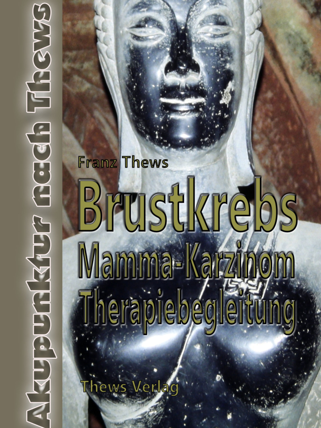 Brustkrebs - Mamma-Karzinom in der TCM