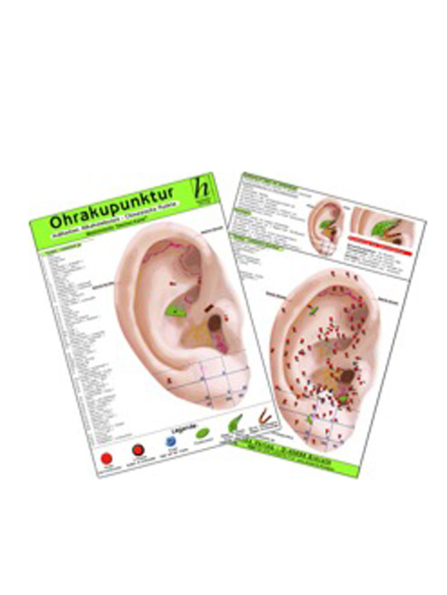 Ohrakupunktur - Indikation Hypertonie - chinesische Ohrakupunktur, Medizinische Taschen-Karte