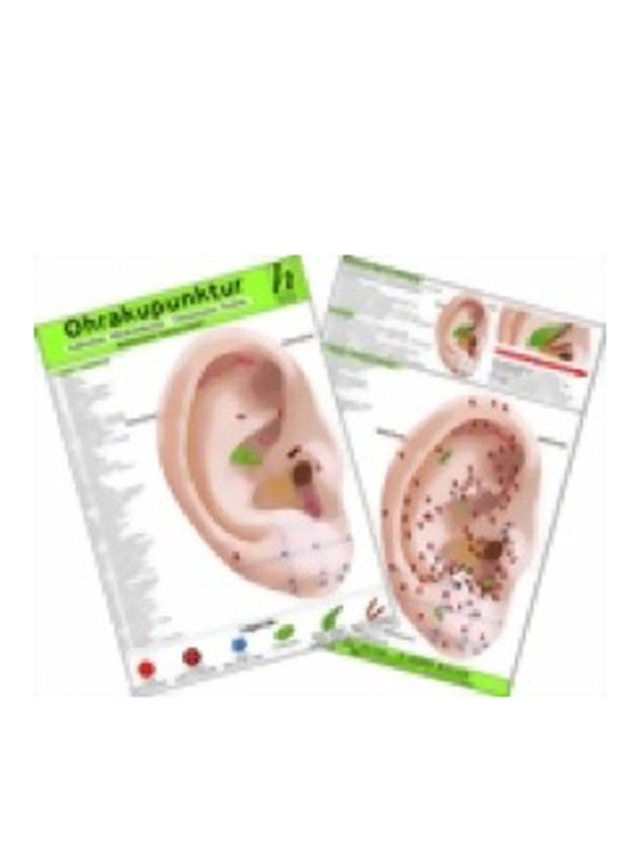 Ohrakupunktur - Indikation Hypercholesterinämie - chinesische Ohrakupunktur / Medizinische Taschen-Karte