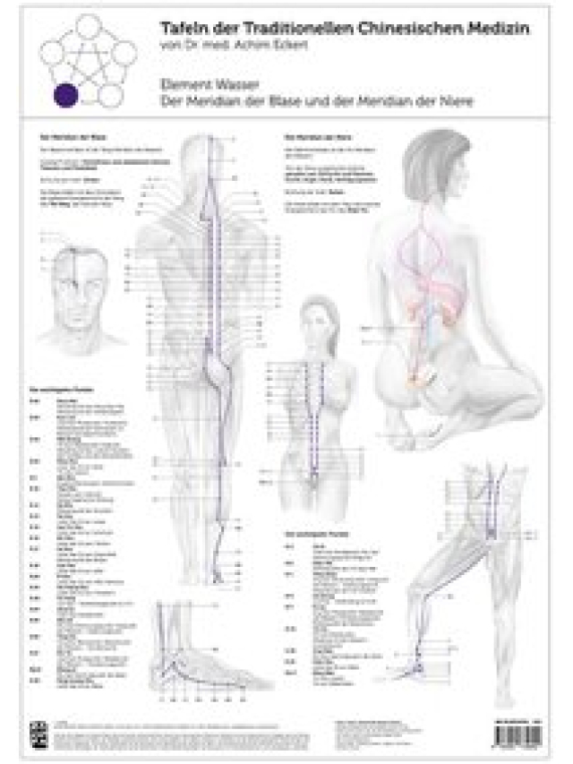 Element Wasser, Tafel der Traditionellen Chinesischen Medizin von Dr. med. Achim Eckert, ca. 24 x 34cm