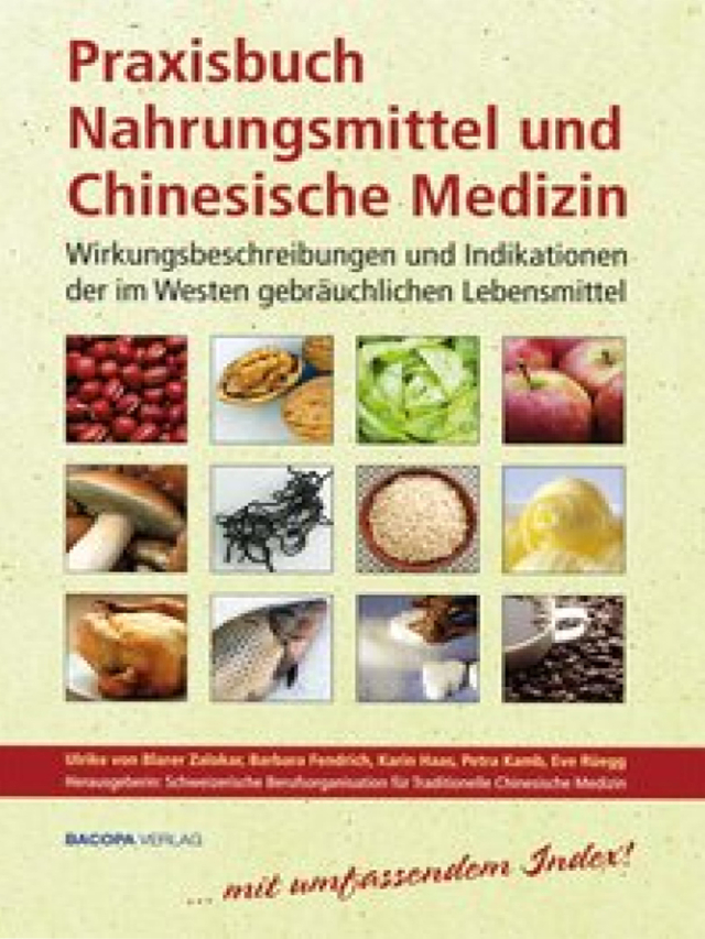 Praxisbuch - Nahrungsmittel und Chinesische Medizin. Wirkungsbeschreibungen und Indikationen der im Westen gebräuchlichen Lebensmittel