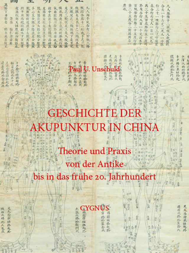 Geschichte der Akupunktur in China. Theorie und Praxis von der Antike bis in das frühe 20. Jahrhundert