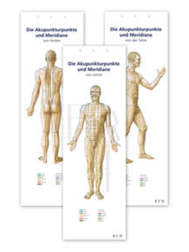 Lernposter: Akupunkturpunkte und Meridiane