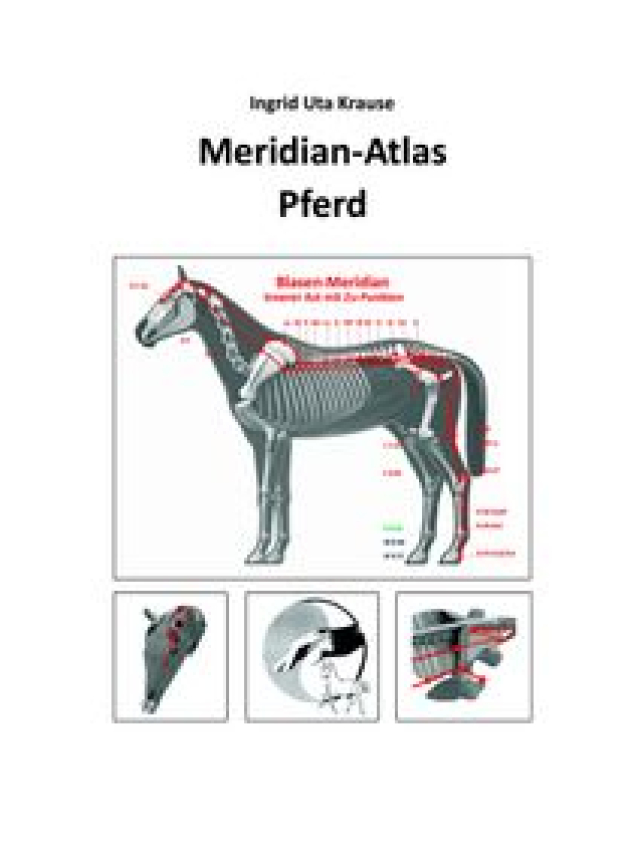 Meridian-Atlas Pferd