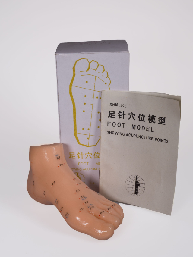 Akupunktur-Fuß, ca. 15 cm. Acupuncture Foot Model