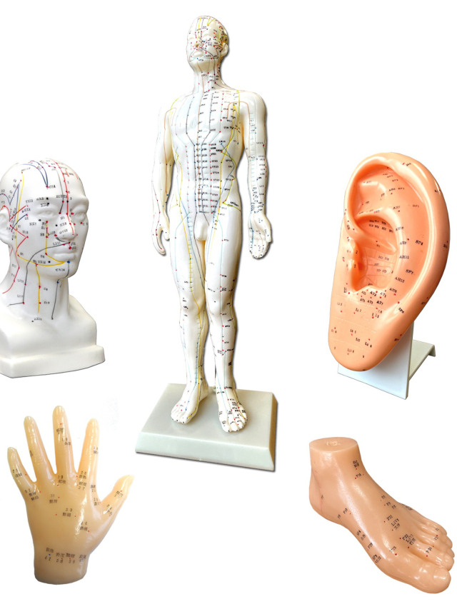 Chinesisches Akupunktur-Set, 5-teilig mit Figur, Kopf, Ohr,Fuss und Hand. Acupuncture Set 5 pieces