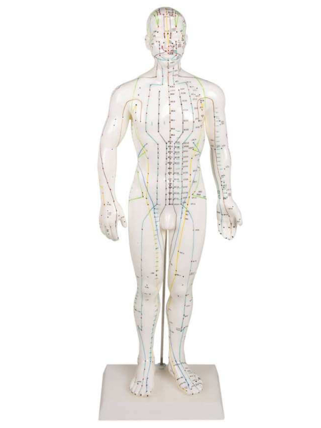 Akupunkturfigur männlich, ca. 46 cm