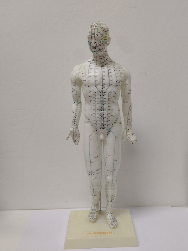 Akupunkturfigur männlich, ca. 46 cm