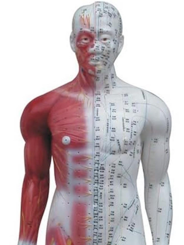 Große männliche Akupunkturfigur, ca. 82 cm