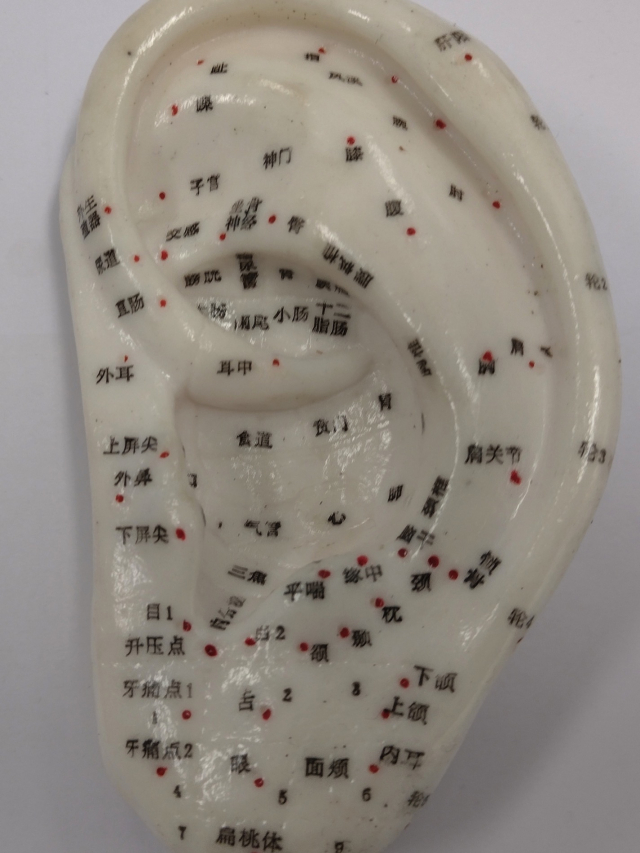 Weißes Akupunkturohr mit ca. 12 cm