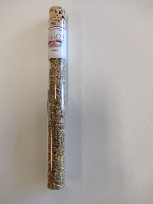 Ysop in ca. 35 ml Glasröhre