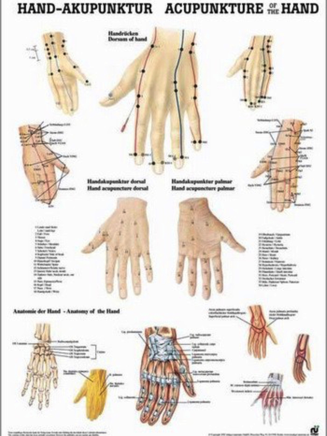 Mini Poster - Hand-Akupunktur