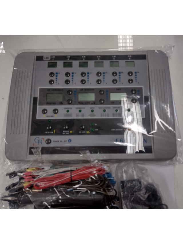 Model E600 Han Multi-Purpose Digital Electronic Acupunctoscope