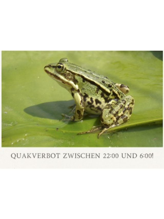 Gratis Postkarte Quakverbot zwischen 22:00 und 06:00!