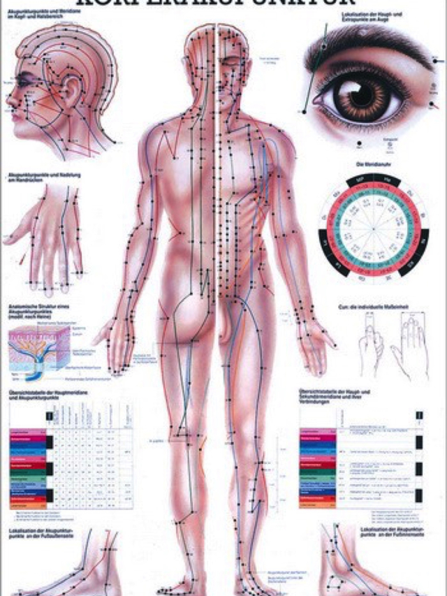 Mini-Poster - Körperakupunktur, laminiert