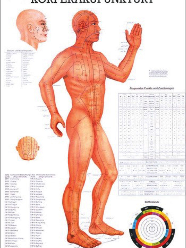 Lehrtafel Körperakupunktur I, 70x100 cm