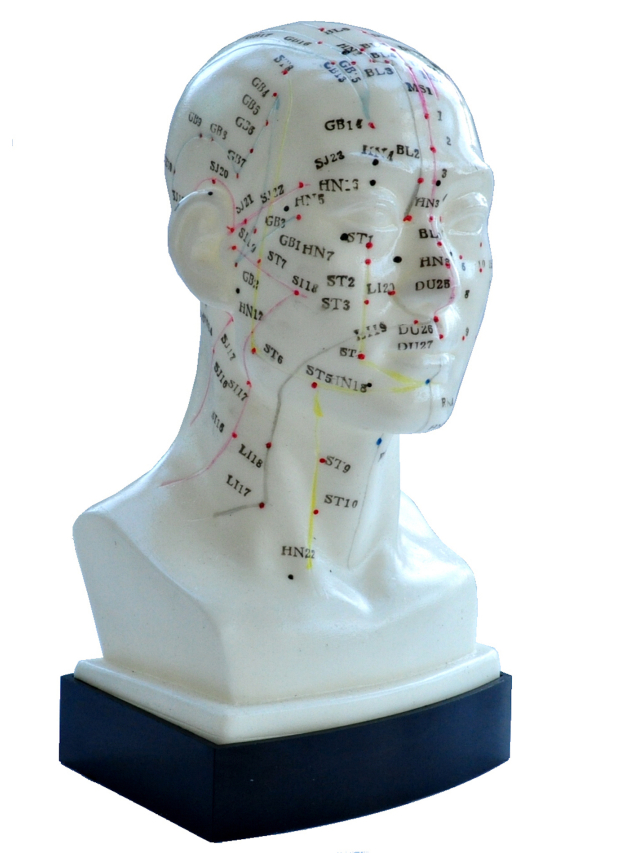 Akupunktur Kopf männlich ca. 20 cm