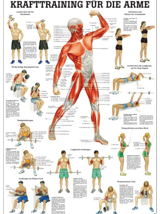 Krafttraining für die Arme, 24x34 cm