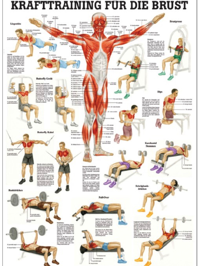 Krafttraining für die Brust, 24x34 cm