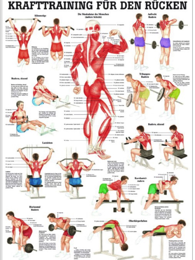 Krafttraining für den Rücken, 24x34 cm