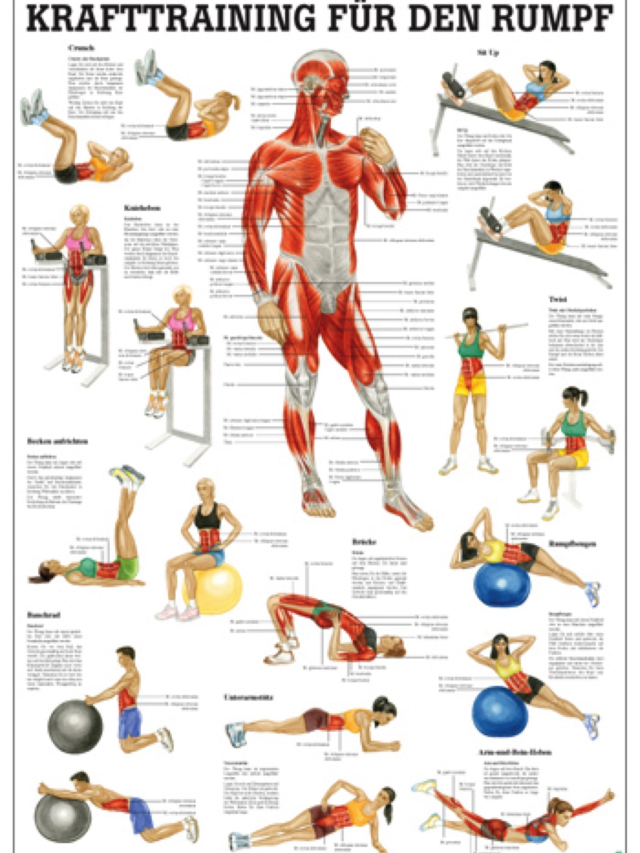 Krafttraining für den Rumpf, 24x34 cm