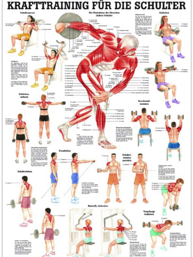Krafttraining für die Schulter, 24x34 cm