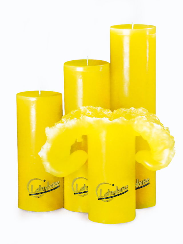 Candela Lotuskerze Basic gelb, 28 cm