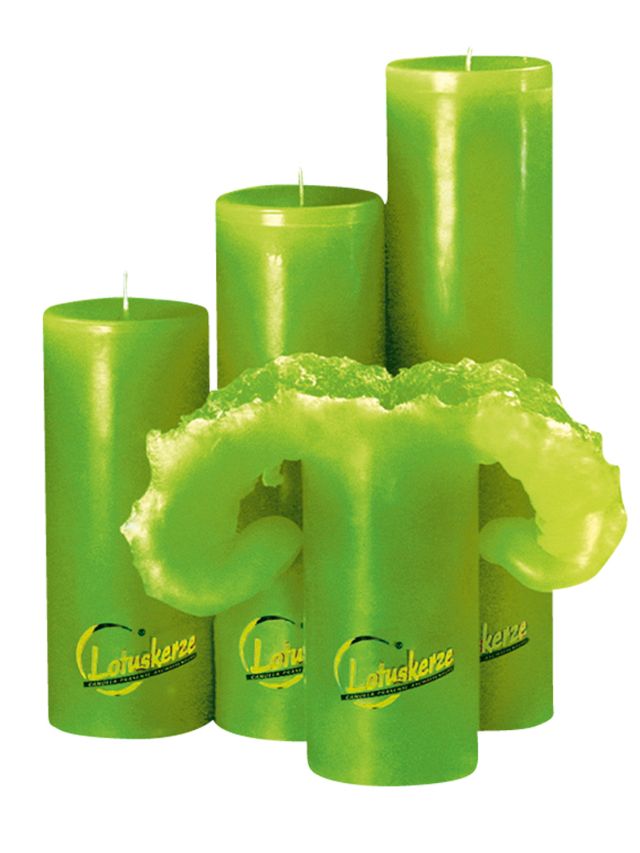 Candela Lotuskerze Trend gelbgrün, 28 cm