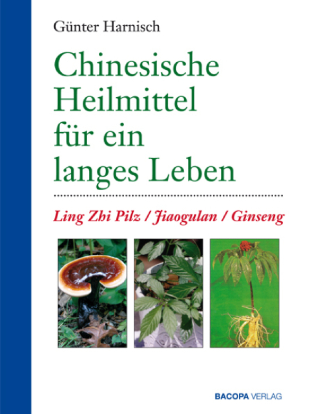 Chinesische Heilmittel für ein langes Leben. Ling-Zhi, Jiaogulan, Ginseng