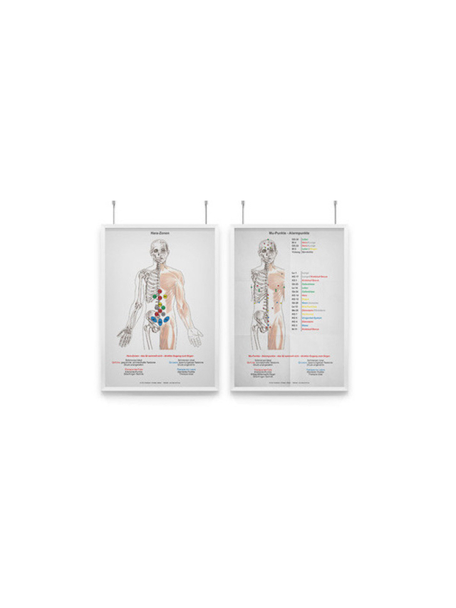 Lehrtafel Mu- / Alarmpunkte und Harazonen für die Akupunkt Meridian Massage