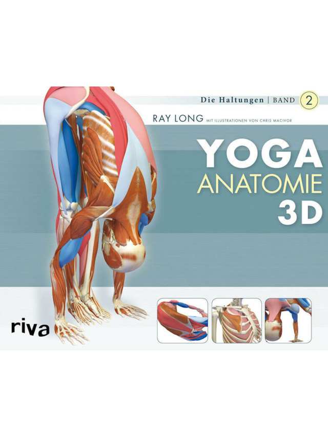 Yoga-Anatomie 3D Yoga-Anatomie 3D
