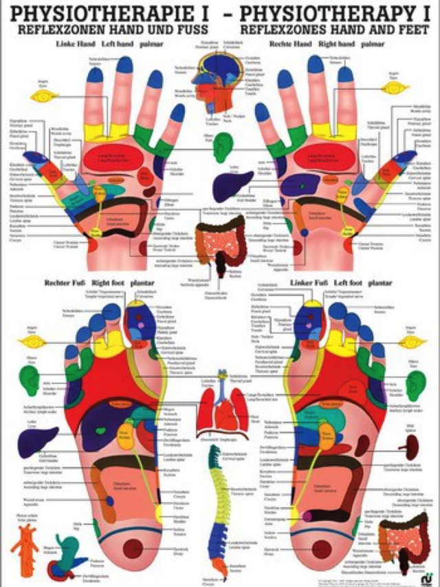 Lehrtafel Physiotherapie 1 - Reflexzonen Hand und Fuss, 50 x 70 cm