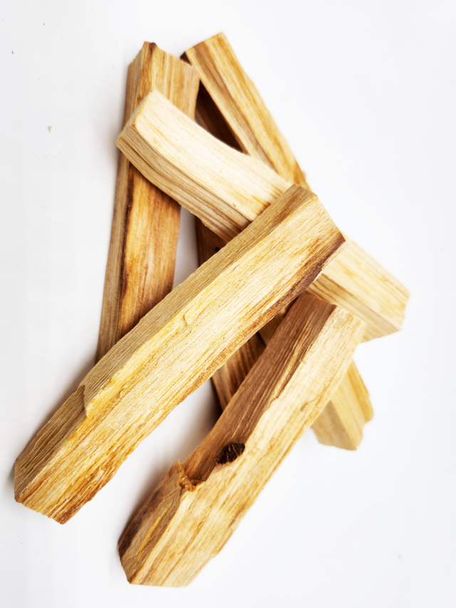 Palo Santo - Heiliges Holz, 40g