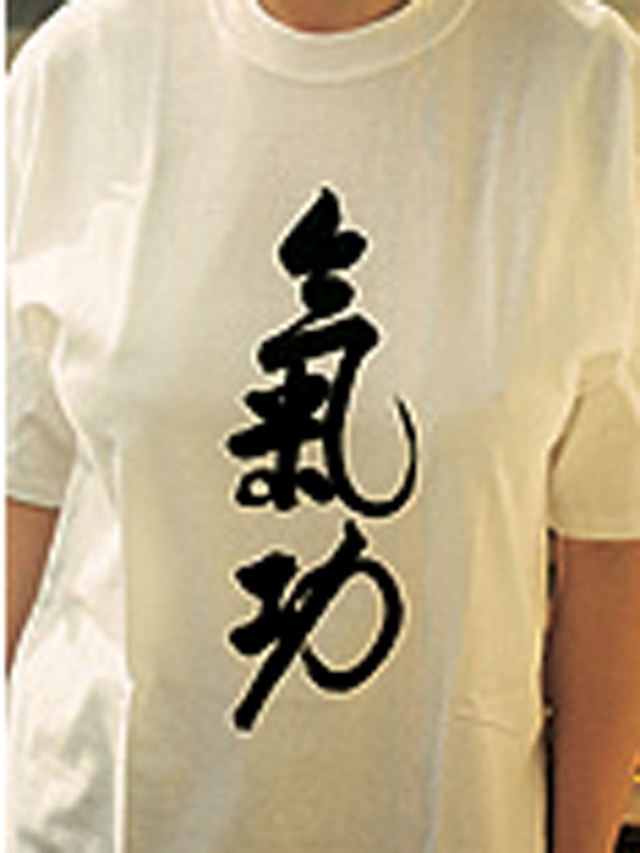 Taiji T-Shirt, grau, Gr. M, 170g, Jerzees Qualität