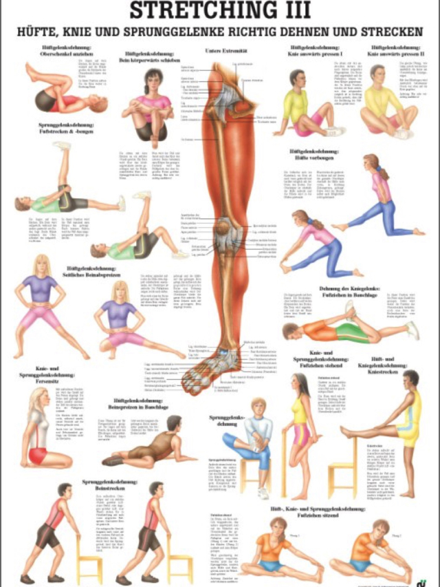 Lehrtafel Stretching III, 70 x 100 cm