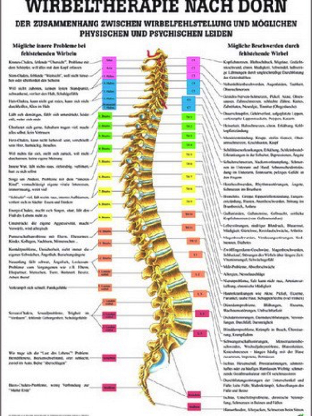 Mini-Poster - Wirbeltherapie nach Dorn