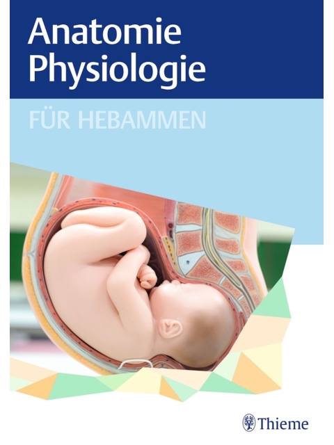 Anatomie und Physiologie für Hebammen