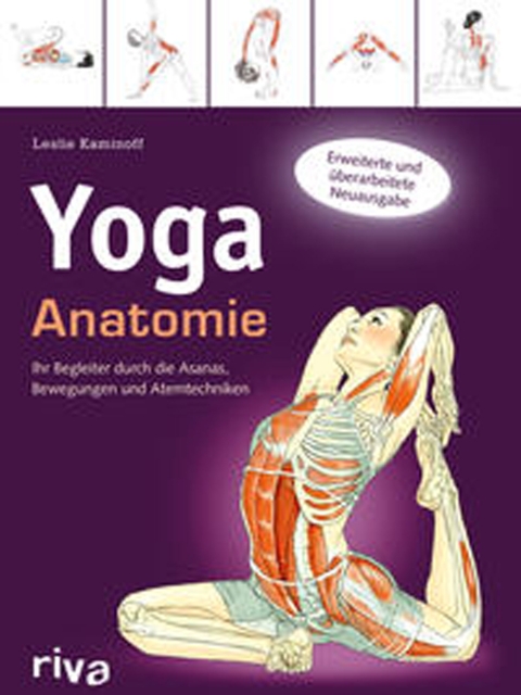 Yoga-Anatomie