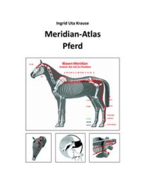 Meridian-Atlas Pferd
