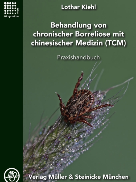 Behandlung von chronischer Borreliose mit chinesischer Medizin
